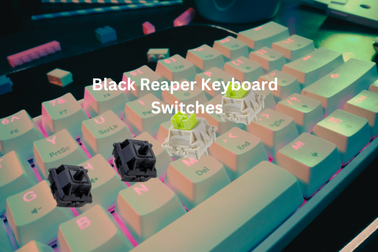 Black Reaper Keyboard 
Switchs